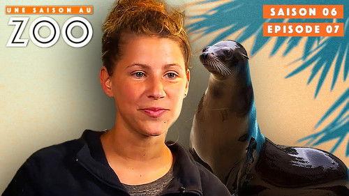 Une saison au zoo Season 6 Episode 7 - Episode 7