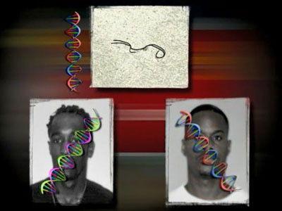 Forensic Files Season 7 Episode 16 - Within a Hair