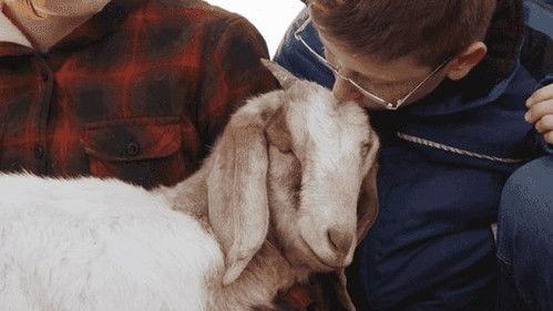 The Wizard of Paws Season 2 Episode 10 - Hope