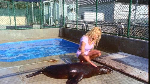 Baywatch Season 7 Episode 19 - Trial by Fire