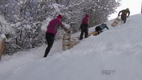 The Amazing Race Season 22 Episode 8 - My Cheese is Out of Control