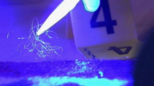 Forensic Firsts Season 2 Episode 5 - Trace Evidence