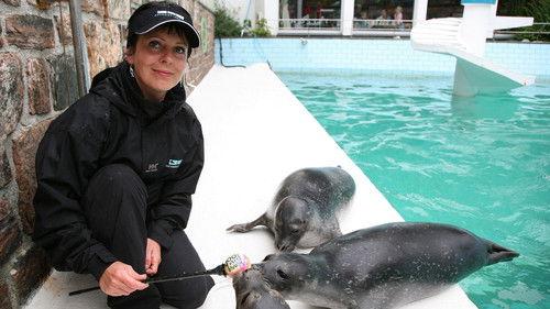 Akvariet Season 1 Episode 5 - Episode 5