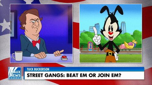 Animaniacs Season 1 Episode 27 - That's Not the Issue