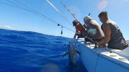 Deadliest Catch: Bloodline Season 3 Episode 2 - Treacherous Grounds