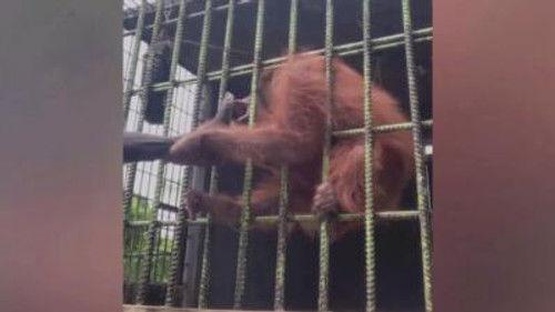 Customer Wars Season 3 Episode 17 - It's All Downhill From Here