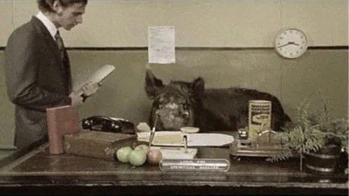 Look Around You Season 1 Episode 7 - Iron