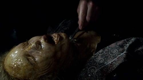 Fringe Season 4 Episode 17 - Everything in Its Right Place