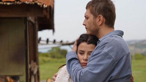 Street Birds Season 1 Episode 17 - Episode 17