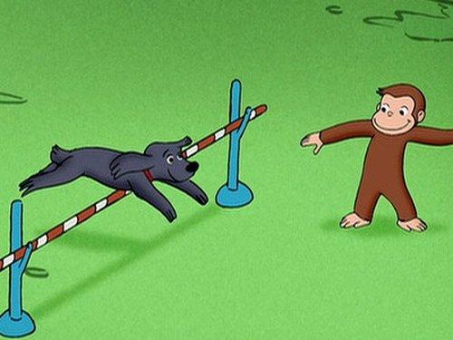 Curious George Season 4 Episode 14 - The Box and the Hound