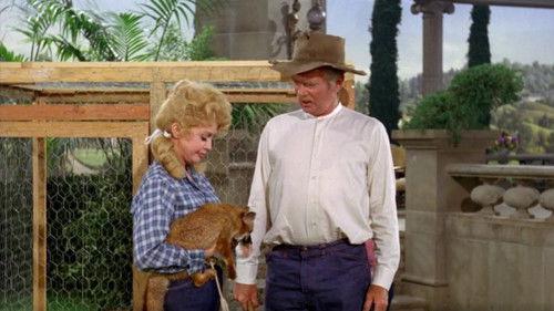 The Beverly Hillbillies Season 4 Episode 2 - That Old Black Magic