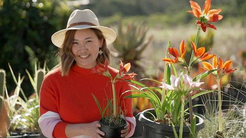 Gardening Australia Season 35 Episode 4 - Episode 4 Summer: Green walls and a GA crew's garden