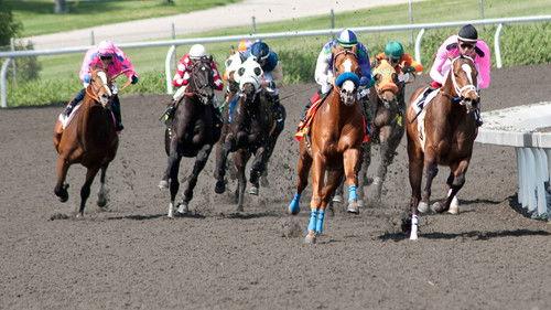 undefined Season 1 Episode 1 - Pilot