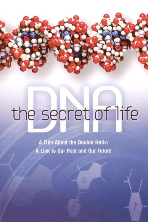 DNA poster