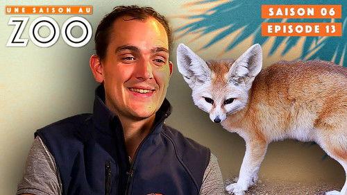 Une saison au zoo Season 6 Episode 13 - Episode 13