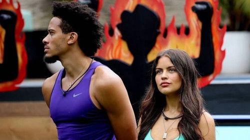 Big Brother Season 13 Episode 19 - Episode 19