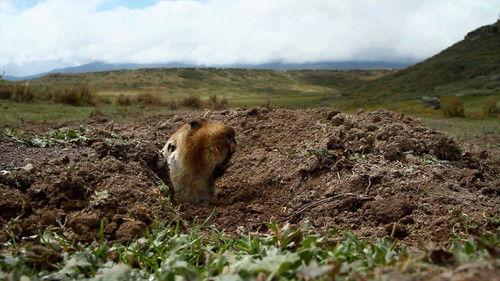 Party Animals Season 1 Episode 7 - Watch Out, Mole Rat!