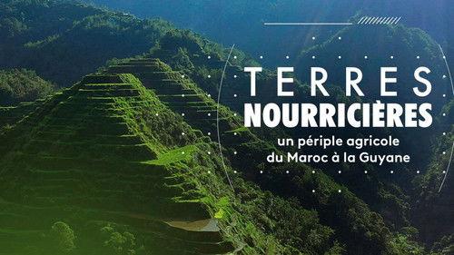 Science grand format Season 4 Episode 25 - Episode 25