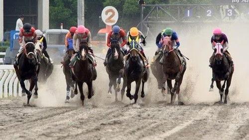 Document 72 Hours Season 4 Episode 13 - Dreams Bloom at Kochi Racecourse