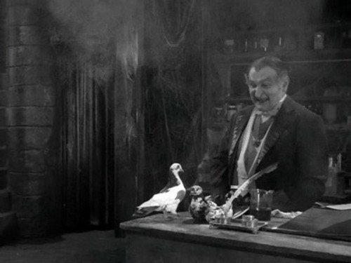 undefined Season 2 Episode 4 - Herman Munster, Shutter Bug