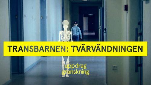 Uppdrag granskning Season 22 Episode 8 - Transbarnen: tvärvädningen