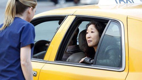 Grey's Anatomy Season 10 Episode 24 - Fear (of the Unknown)