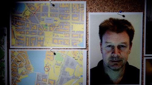 Svenska fall Season 14 Episode 2 - Episode 2