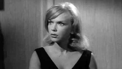 Honey West Season 1 Episode 10 - A Neat Little Package