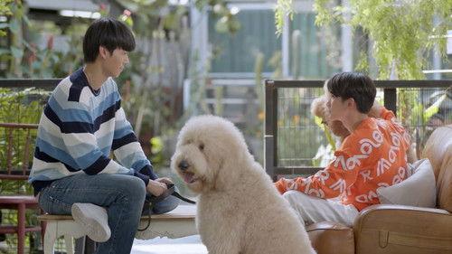 Be Mine SuperStar Season 1 Episode 5 - Episode 5