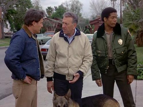 Quincy, M.E. Season 7 Episode 23 - Deadly Protection