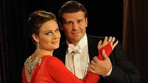 Bones Season 8 Episode 10 - The Diamond in the Rough