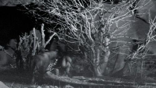 Africa's Deadliest Season 6 Episode 1 - Opportunists