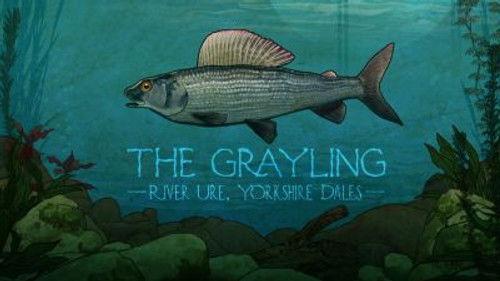Mortimer & Whitehouse: Gone Fishing Season 2 Episode 6 - The Grayling: River Ure, Yorkshire Dales