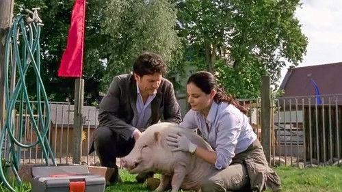 Tierärztin Dr. Mertens Season 4 Episode 10 - Episode 10