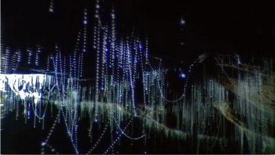 Life in the Undergrowth Season 1 Episode 3 - The Silk Spinners