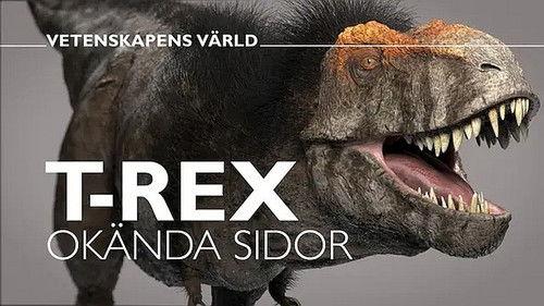 Vetenskapens värld Season 47 Episode 18 - Episode 18