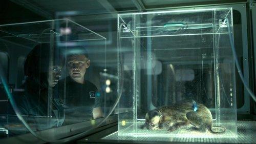 undefined Season 1 Episode 1 - Night One