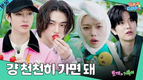 SKZ Code Season 4 Episode 6 - EP.50 [The Tortoise and the Hare 2]