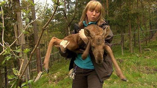 Dyrepasserne Season 4 Episode 4 - Episode 4