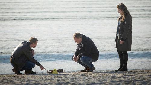 Shetland Season 5 Episode 1 - Episode 1