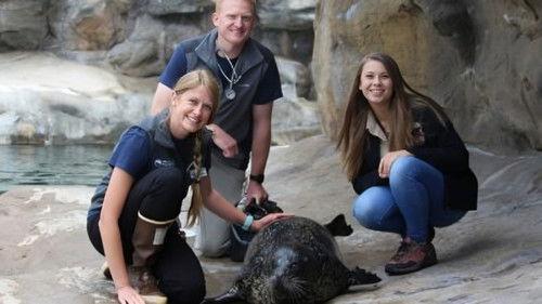 Crikey! It's the Irwins Season 2 Episode 8 - Robert Trains a Dragon