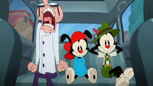 Animaniacs Season 3 Episode 12 - Über Nachtmare