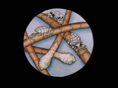 Beavis and Butt-Head Season 7 Episode 9 - Head Lice