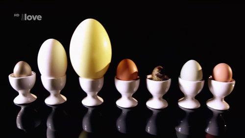 Gordon Ramsay's Ultimate Cookery Course Season 1 Episode 15 - Brunches