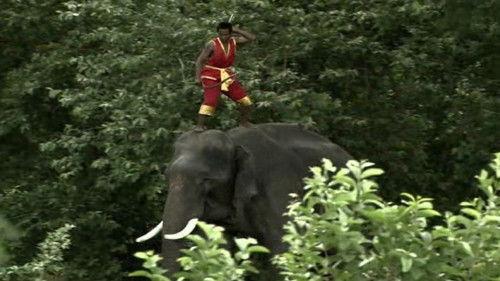 Ancient Discoveries Season 6 Episode 8 - Ancient Special Forces