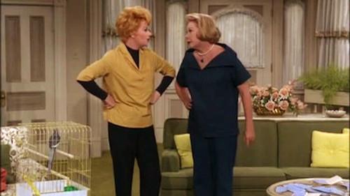 The Lucy Show Season 3 Episode 12 - Lucy Gets the Bird