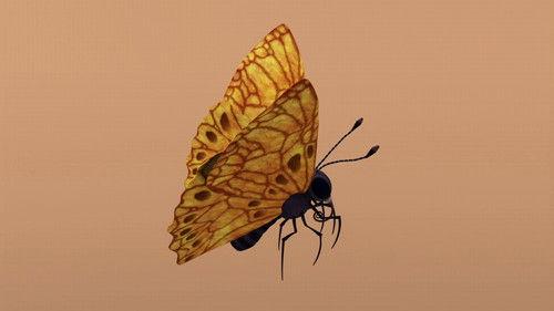 Dinosaur Train Season 3 Episode 20 - Butterflies