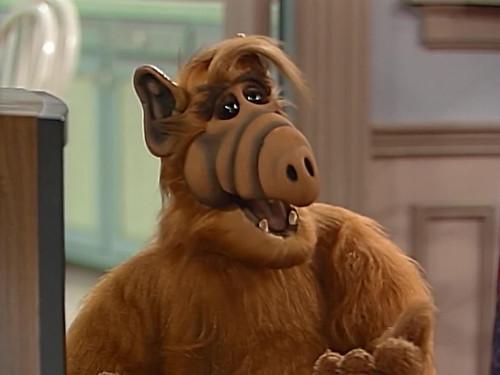 ALF Season 3 Episode 13 - Hide Away