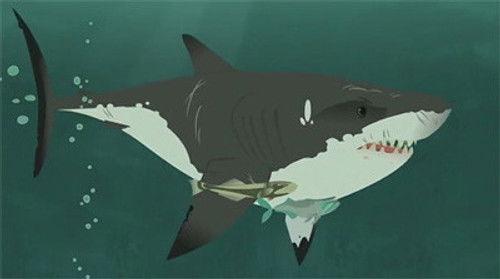 Wild Kratts Season 1 Episode 24 - Stuck On Sharks