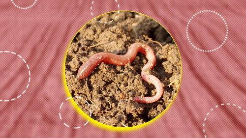 Zembla Season 27 Episode 12 - Het excuus van de Boerenleenbank